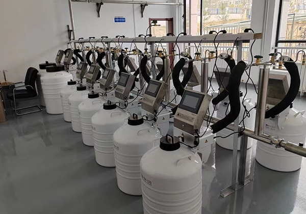 液氮自動補液係統定製